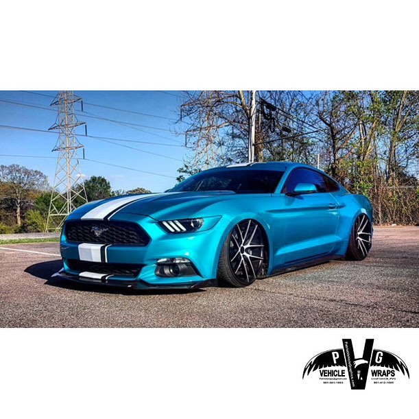 vinyl destination graphics on Instagram: @ruthless_dorian11 Mustang wrapped  in matte gucci @weprintwraps #vinyldestinationgraphics #vinylwrap # Ford  #fordmustang #Mustang #gucci #guccisnake #gt