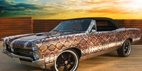 Gto Pontiac wrapped in snakeskin 3551RA