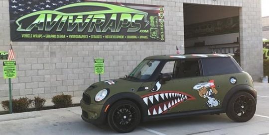 Mini Cooper Wrapped in Custom Printed Avery 1105 Vinyl with 138oz Matte Overlaminate