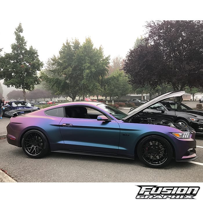 Ford Mustang wrapped in Avery ColorFlow Satin Rushing Riptide Cyan