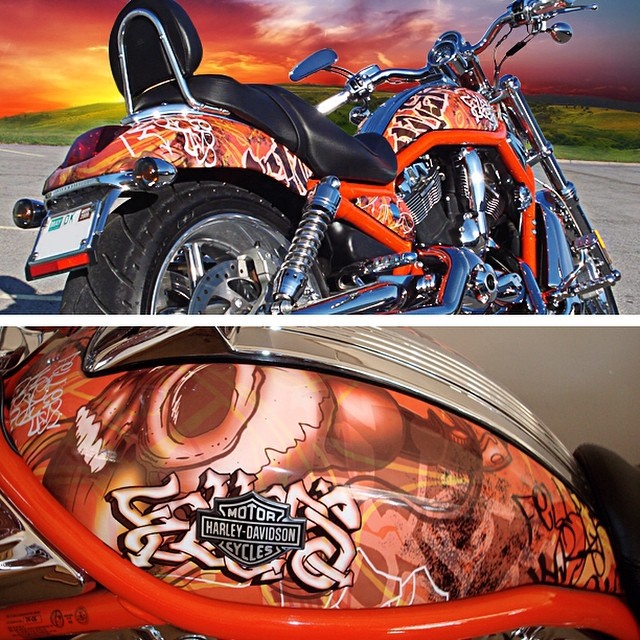 W&W Cycles - Borchie decorative alpacca per Harley-Davidson