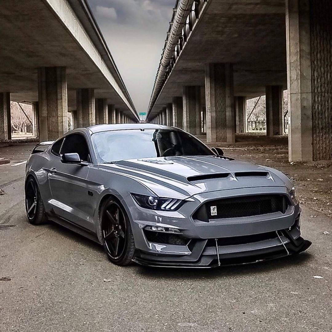 Ford Mustang Nardo Gray